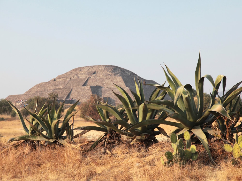 View of Teotihuacan