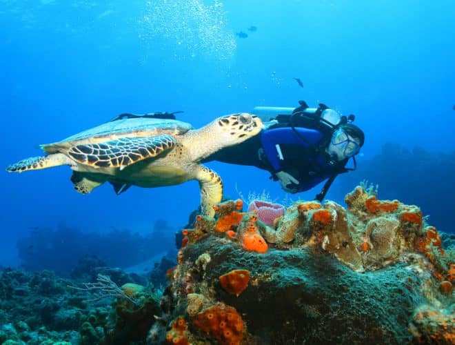 Things to do in the Riviera Maya