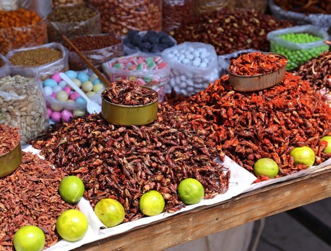 Chapulines Grasshopper Tacos