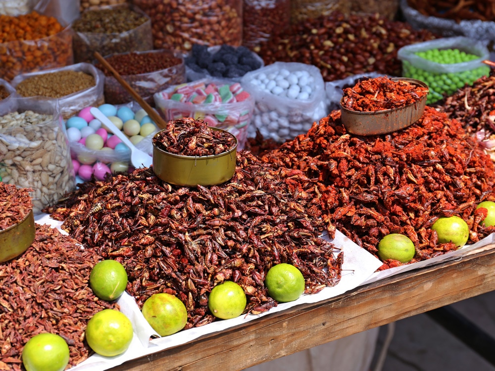 Chapulines Grasshopper Tacos