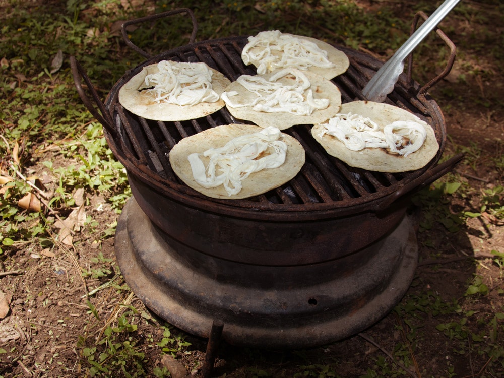 Oaxaca Cheese