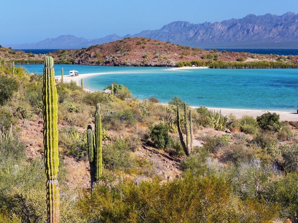 Baja Landscape