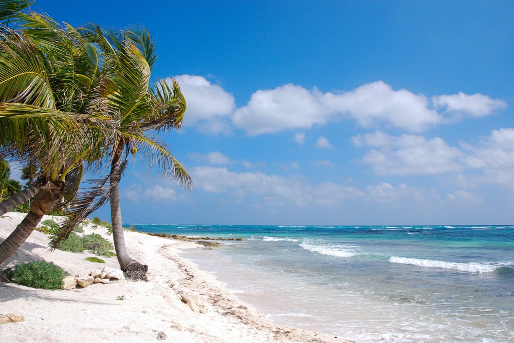 Caribbean Coast Mexico in Akumal